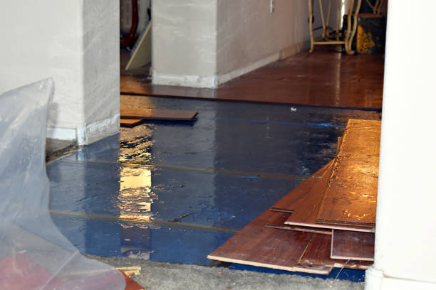 Professional Flood Cleanup technician working in Kerby, OR